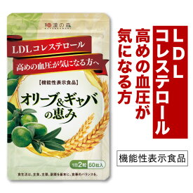 【エントリーでP15倍】血圧 コレステロール サプリ オリーブ ギャバ gaba サプリ 血圧 下げる サプリメント LDLコレステロール 悪玉コレステロール LDL 高め けつあつ 和漢の森 効果 疲労 ストレス ぎゃば 睡眠 サプリ サポート 100mg ママ オリーブ&ギャバの恵み