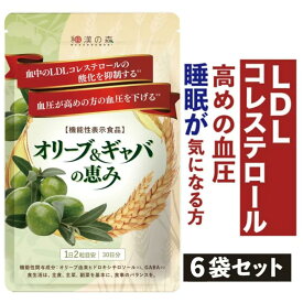 【6袋セット】血圧 サプリ 血圧サプリ オリーブ ギャバ gaba コレステロール サプリ 下げる サプリメント LDLコレステロール 悪玉コレステロール LDL 高め けつあつ 活力感 和漢の森 効果 疲労 ストレス ぎゃば 睡眠 サプリ サポート オリーブ&ギャバの恵み