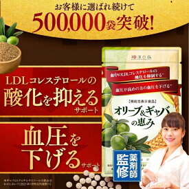 【15％OFF+ポイント5倍★9/10 20:00〜9/11 01:59】コレステロール 下げる サプリメント LDL コレステロール 血圧 サプリ 高め 血圧サプリ オリーブ ギャバ gaba 悪玉コレステロール 和漢の森 疲労 ストレス 睡眠 サプリ オリーブ&ギャバの恵み