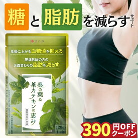【4日20時〜 ★10％OFF】ダイエットサプリ 血糖値 サプリ ダイエット サプリ 内臓脂肪 減らす お腹 周りの脂肪 桑の葉 茶 カテキン サラシア イヌリン 食後血糖値 サプリメント 皮下脂肪 体脂肪 脂肪 桑の葉&茶カテキンの恵み 漢方セレクト