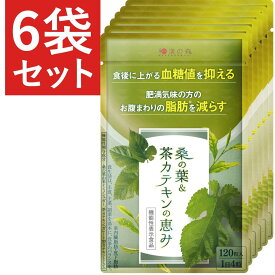 【6袋セット】 ダイエットサプリ 血糖値 サプリ 内臓脂肪 減らす ダイエット お腹周りの脂肪 桑の葉 茶カテキン サラシア イヌリン 食後血糖値 サプリメント 下げる 皮下脂肪 体脂肪 お腹 脂肪 菊芋 カテキン 緑茶 桑の葉&茶カテキンの恵み ガレード型カテキン