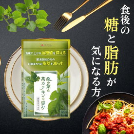 ダイエットサプリ 血糖値 サプリ ダイエット サプリ 内臓脂肪 減らす お腹 周りの脂肪 桑の葉 茶 カテキン サラシア イヌリン 食後血糖値 サプリメント 下げる 皮下脂肪 体脂肪 脂肪 菊芋 桑の葉&茶カテキンの恵み ガレード型カテキン 1000