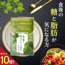 P10倍 ダイエットサプリ 血糖値 サプリ ダイエット サプリ 内臓脂肪 減らす お腹 周りの脂肪 桑の葉 茶 カテキン サラシア イヌリン 食後血糖値 サプリメント 下げる 皮下脂肪 体脂肪 脂肪 菊芋 桑の葉&茶カテキンの恵み ガレード型カテキン 1000