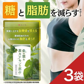 【3袋セット】ダイエットサプリ 血糖値 サプリ 内臓脂肪 減らす ダイエット お腹周りの脂肪 桑の葉 茶カテキン サラシア イヌリン 食後血糖値 サプリメント 下げる 皮下脂肪 体脂肪 お腹 脂肪 菊芋 カテキン 緑茶 桑の葉&茶カテキンの恵み ガレード型カテキン