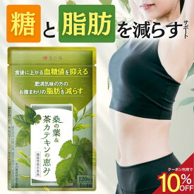 【SS限定★10%OFFさらにポイント5倍】ダイエットサプリ 血糖値 サプリ ダイエット サプリ 内臓脂肪 減らす お腹 周りの脂肪 桑の葉 茶 カテキン サラシア イヌリン 食後血糖値 サプリメント 皮下脂肪 体脂肪 桑の葉&茶カテキンの恵み