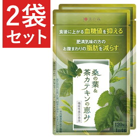【2袋セット】 ダイエットサプリ 血糖値 サプリ 内臓脂肪 減らす ダイエット お腹周りの脂肪 桑の葉 茶カテキン サラシア イヌリン 食後血糖値 サプリメント 下げる 皮下脂肪 体脂肪 お腹 脂肪 菊芋 カテキン 緑茶 桑の葉&茶カテキンの恵み ガレード型カテキン