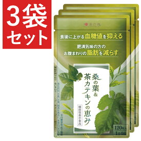 【3袋セット】ダイエットサプリ 血糖値 サプリ 内臓脂肪 減らす ダイエット お腹周りの脂肪 桑の葉 茶カテキン サラシア イヌリン 食後血糖値 サプリメント 下げる 皮下脂肪 体脂肪 お腹 脂肪 菊芋 カテキン 緑茶 桑の葉&茶カテキンの恵み ガレード型カテキン