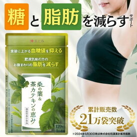 ダイエットサプリ 血糖値 サプリ ダイエット サプリ 内臓脂肪 減らす お腹 周りの脂肪 桑の葉 茶 カテキン サラシア イヌリン 食後血糖値 サプリメント 下げる 皮下脂肪 体脂肪 脂肪 菊芋 桑の葉&茶カテキンの恵み ガレード型カテキン