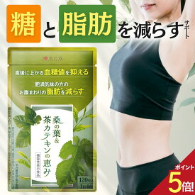 【ポイント5倍★レビューでもう1袋】 ダイエットサプリ 血糖値 サプリ ダイエット サプリ 内臓脂肪 減らす お腹 周りの脂肪 桑の葉 茶 カテキン サラシア イヌリン 食後血糖値 サプリメント 皮下脂肪 体脂肪 桑の葉&茶カテキンの恵み