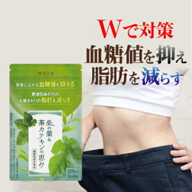 ダイエットサプリ 脂肪燃焼 内臓脂肪 減らす ダイエット 血糖値 サプリ 桑の葉 茶カテキン サラシア イヌリン サプリメント 下げる 皮下脂肪 体脂肪 効果 お腹 脂肪 菊芋 カテキン カテキン緑茶 桑の葉&茶カテキンの恵み