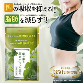 【5/15 21:00〜5/16 01:59★クーポン利用で10％OFF】ダイエットサプリ 血糖値 サプリ ダイエット サプリ 内臓脂肪 減らす お腹 周りの脂肪 桑の葉 茶 カテキン サラシア イヌリン 食後血糖値 サプリメント 皮下脂肪 体脂肪 桑の葉&茶カテキンの恵み