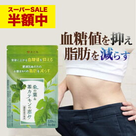 ダイエットサプリ 脂肪燃焼 内臓脂肪 減らす ダイエット 血糖値 サプリ 桑の葉 茶カテキン サラシア イヌリン サプリメント 下げる 皮下脂肪 体脂肪 効果 お腹 脂肪 菊芋 カテキン カテキン緑茶 桑の葉&茶カテキンの恵み