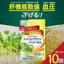 【エントリーでP10倍】 スルフォラファン 肝機能 サプリ 肝臓 エキス 肝臓サプリ グルコシノレート ギャバ gyaba alt ALT値 一時的な ストレス 疲労 睡眠 血圧 下げる スルフォラファン&ギャバの恵み ブロッコリースプラウト ブロッコリー が気になる サプリメント