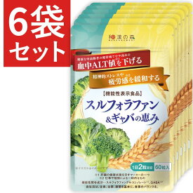 スルフォラファン&ギャバの恵み 6袋 肝機能 サプリ 肝臓 スルフォラファン グルコシノレート ギャバ gyaba 血中 alt値 ALT値 alt 一時的な ストレス 疲労 睡眠 血圧 下げる ブロッコリースプラウト ブロッコリー 肝機能 が気になる サプリメント 男性特集 ウコン しじみ