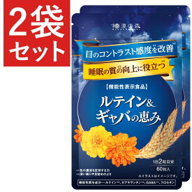 【2袋セット】睡眠 サプリ GABA ギャバ 睡眠の質 目覚め ルテイン クロセチン ゼアキサンチン 疲労感 疲労緩和 目のぼやけ かすみ ピント調整 目のピント 田七人参 アイケア サプリメント 和漢の森 ルテイン＆ギャバの恵み
