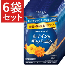 【6袋セット】睡眠 サプリ GABA ギャバ 睡眠の質 目覚め ルテイン クロセチン ゼアキサンチン 疲労感 疲労緩和 目のぼやけ かすみ ピント調整 目のピント 田七人参 アイケア サプリメント 和漢の森 ルテイン＆ギャバの恵み