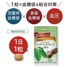 【定期だと初回60%OFF！】ギャバ GABA 菊芋 血糖値 下げる サプリ 食後血糖 糖質カット 糖質制限 イヌリン 効果 桑の葉 インスリン 血圧 睡眠 ストレス 緩和 疲労 改善 活力 活気 バナバ & サラシア の恵み 和漢の森 1日1粒 30粒入り