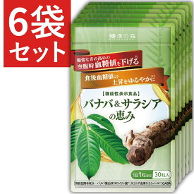 バナバ ＆ サラシア の恵み 6袋セット 血糖値 下げる サプリ 食後血糖 糖質制限 イヌリン 効果 桑の葉 インスリン 血圧 ストレス 緩和 疲労 ギャバ GABA 菊芋 和漢の森 1日1粒 30粒入り バナバ と サラシア 空腹時血糖値 健康診断