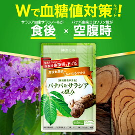 血糖値 下げる サプリ サプリメント サラシア バナバ 食後血糖値 糖質制限 イヌリン インスリン 血圧 ストレス 疲労 ギャバ GABA 菊芋 バナバ ＆ サラシア の恵み 和漢の森 30粒入り バナバ と サラシア 空腹時血糖値 血糖値サプリ 血糖値サプリメント