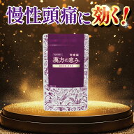 【10日限定★クーポン利用で20％OFF】第2類医薬品 国際中医師監修 頭痛 慢性頭痛 偏頭痛 緊張型頭痛 更年…