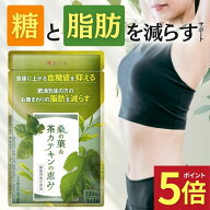 【20日限定★ポイント5倍】＼レビューでもう1袋／ ダイエットサプリ 血糖値 サプリ ダイエット サプリ 内…