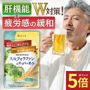 【20日限定★ポイント5倍】＼レビューでもう1袋／ スルフォラファン サプリ 肝機能 肝臓 エキス 肝臓サプリ グルコシノレート ギャバ gyaba alt ALT値 ストレス 疲労 睡眠 血圧 下げる スルフォラファン&ギャバの恵み ブロッコリースプラウト
