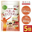 【20日限定★ポイント5倍】薬剤師監修 クランベリー 大豆イソフラボン アグリコン型 イソフラボン サプリメント サプリ ベリー 女性 ペポカボチャ マカ 田七人参 山芋 生姜 シーベリー 人気 漢方 ベリー&イソフラボン 和漢の森
