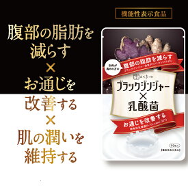 腸活 サプリ 腸内環境 ブラックジンジャー 内臓脂肪 減らす サプリメント 乳酸菌 ポリメトキシフラボン 黒生姜 ダイエット サラシア 内臓脂肪 皮下脂肪 お通じ 便通 腸内フローラ 代謝粒 激やせ ダイエット特集 ショウガ イヌリン 機能性表示食品 90粒 あお季の杜 和漢の森