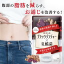 【18日限定★クーポン利用で10％OFF】薬剤師監修 ダイエットサプリ ブラックジンジャー サプリ 便通 腸活 腸内環境 内臓脂肪 サプリメント 乳酸菌 ダイエット サラシア 内臓脂肪 皮下脂肪 お通じ イヌリン あお季の杜 和漢の森 ブラックジンジャー×乳酸菌