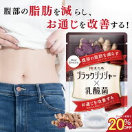 【10日21:00〜 5時間限定★20％OFFクーポン】【国際中医師監修】ダイエットサプリ ブラックジンジャー サ…
