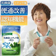 乳酸菌 サプリ 便通を改善する サポート 腸活 サプリメント 精神的 ストレス 睡眠 腸内環境 イチョウ葉 …