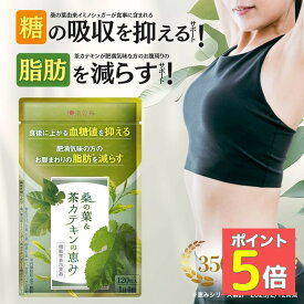 ダイエットサプリ 血糖値 サプリ ダイエット サプリ 内臓脂肪 減らす お腹 周りの脂肪 桑の葉 茶 カテキン サラシア イヌリン 食後血糖値 サプリメント 皮下脂肪 体脂肪 桑の葉&茶カテキンの恵み