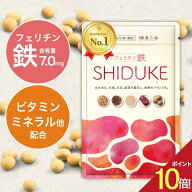 【ポイント10倍】薬剤師監修 鉄分 サプリ フェリチン鉄 亜鉛 ビタミン 葉酸 サプリメント こども 子供 女…
