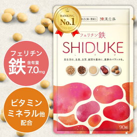 鉄分 サプリ フェリチン鉄 亜鉛 ビタミン 葉酸 サプリメント こども 子供 女性 まめ鉄 非ヘム鉄 鉄 鉄分不足 貯蔵鉄 鉄分補給 フェリチン フェリチン鉄のSHIDUKE フェリチン鉄のNAGOMI フェリチン鉄サプリ フェリチンサプリ 和漢の森
