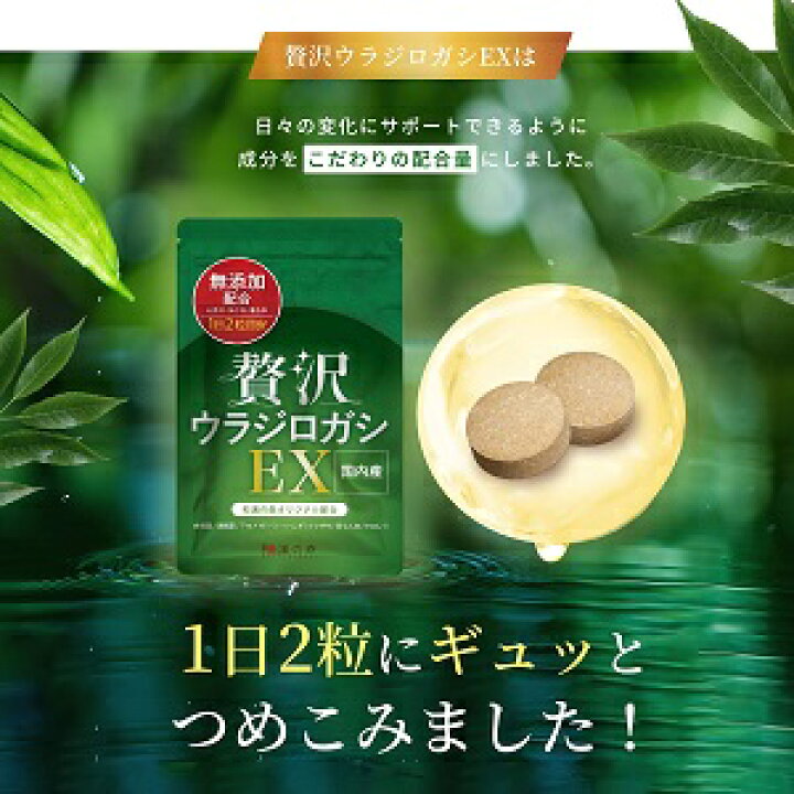 楽天市場】【ポイント2倍!】ウラジロガシ サプリ サプリメント 胆石 結石 贅沢ウラジロガシEX 流石 裏白樫 ウラジロガシ茶 うらじろがし 流石茶 たんせき りゅうせき 排石 けっせき 薬 はいせき 胆石症 胆のう さすがちゃ うらじろがし茶 潤勝散 : 和漢の森 楽天市場店 楽天市場】【ポイント2倍!】ウラジロガシ サプリ サプリメント 胆石 結石 贅沢ウラジロガシEX 流石 裏白樫 ウラジロガシ茶 うらじろがし 流石茶 たんせき りゅうせき 排石 けっせき 薬 はいせき 胆石症 胆のう さすがちゃ うらじろがし茶 潤勝散 : 和漢の森 楽天市場店