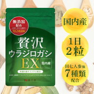 国際中医師監修 ウラジロガシ サプリ サプリメント 贅沢ウラジロガシEX 流石(さすが) 茶 60 粒 裏白樫 ウ…