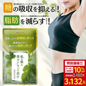 【クーポン利用で10％OFF】ダイエットサプリ 血糖値 サプリ ダイエット サプリ 内臓脂肪 減らす お腹 周りの脂肪 桑の葉 茶 カテキン サラシア イヌリン 食後血糖値 サプリメント 皮下脂肪 体脂肪 桑の葉&茶カテキンの恵み