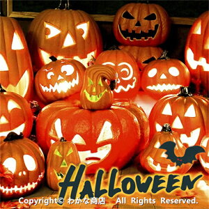 nEB J{`[hCg X}C fBXvC I[ig ~ pvLCg J{` ZuCg unEB[ drd  O t