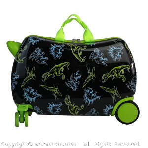 LbYX[cP[X @ LbY LbYp wN qX[cP[X LbYL[ LbY suitcase ^L[P[X y  @\ s A L[obO ǂ X[