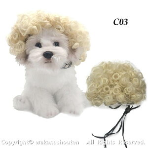   L  ybgEBbO  ʔ p RX`[ nEB RXv ϑ 蕨 XQF ^ ^ ϐg o| U videoœK L ^ LpEBb