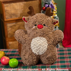  ʂ NX}X giJC Xm[} NX}Xc[ ʂ giJC ܂ 45cm  ܂ ʂ  lC LbY q ̎q 