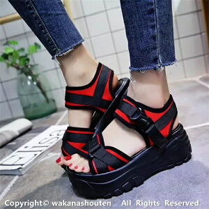  fB[X X|[cT_ fB[X T_ RtH[g T_ r[`T_ y fB[X r[`T_ C C xN Xj[J[ X|[c T_