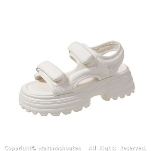  5cm UPIIfB[X X|[cT_ fB[X T_ RtH[g T_ r[`T_ y fB[X r[`T_ C C Xj[J[ X|[c T_ 