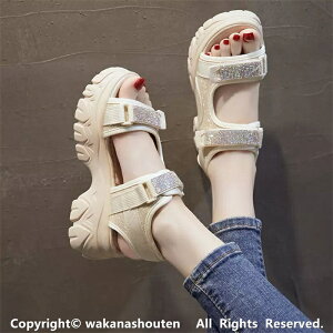  fB[X X|[cT_ fB[X T_ RtH[g T_ r[`T_ y fB[X r[`T_ C C xN Xj[J[ X|[c T_