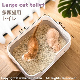 ネコのトイレ シンプルタイプ オープンタイプ 猫 システムトイレ 成猫用 多猫 猫用トイレ本体 ハーフカバー ペットケア用 簡易トイレ 簡単掃除 清潔 飛散防止 おしゃれ かわいい 水洗い 丸洗い お手入れ簡単 多頭飼い