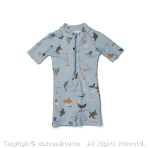 8color xr[  j̎q Lbv 2_Zbg UV p[X ̎q  LbY xr[ bVK[h LbY  Ԃ q 킢 XCEFA C v[ XC~O r[` 