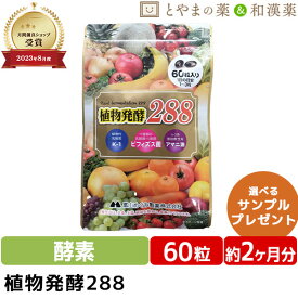 ＼レビュー特典あり／ 植物発酵 288 | フルーツ 植物発酵 植物性 乳酸菌 アマニ油 酵素 サプリ オメガ3 サプリメント 健康 アマニオイル 生酵素 野菜 日本製 乳酸菌 腸 腸サプリ 野菜不足 栄養補助 カシス ギフト トイレ フローラ プレゼント お中元 敬老の日 ギフト