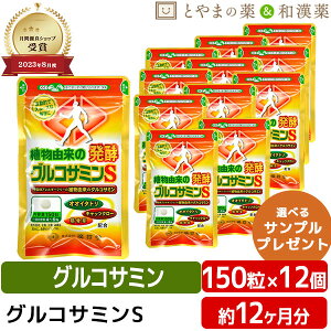 【レビューキャンペーン実施】植物由来 グルコサミンS オオイタドリ 錠剤 12個 セット | グルコサミン イタドリ タブレット 栄養補助食品 キャッツクロー 軟骨 足腰 とうもろこし 高齢者 骨