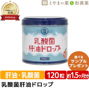 乳酸菌肝油ドロップ オレンジ風味 120粒 | 肝油ドロップ 国産 子供 目のサプリ ビタミンD ビタミンC ビタミンA 乳酸菌 鮫肝油 受験生 ビタミン剤 栄養補助食品 西海製薬 サプリ 健康食品 サプ