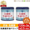 乳酸菌肝油ドロップ オレンジ風味 120粒 2個セット | 肝油ドロップ 国産 子供 目のサプリ ビタミンA 乳酸菌 鮫肝油 西海製薬 サプリ プレゼント 肝油ドロップ 国産 目のサプリ 健康食品 サプリメント おすすめサプリ お中元 敬老の日 かんゆ 肝油 ドロップ 肝油 子供 大人